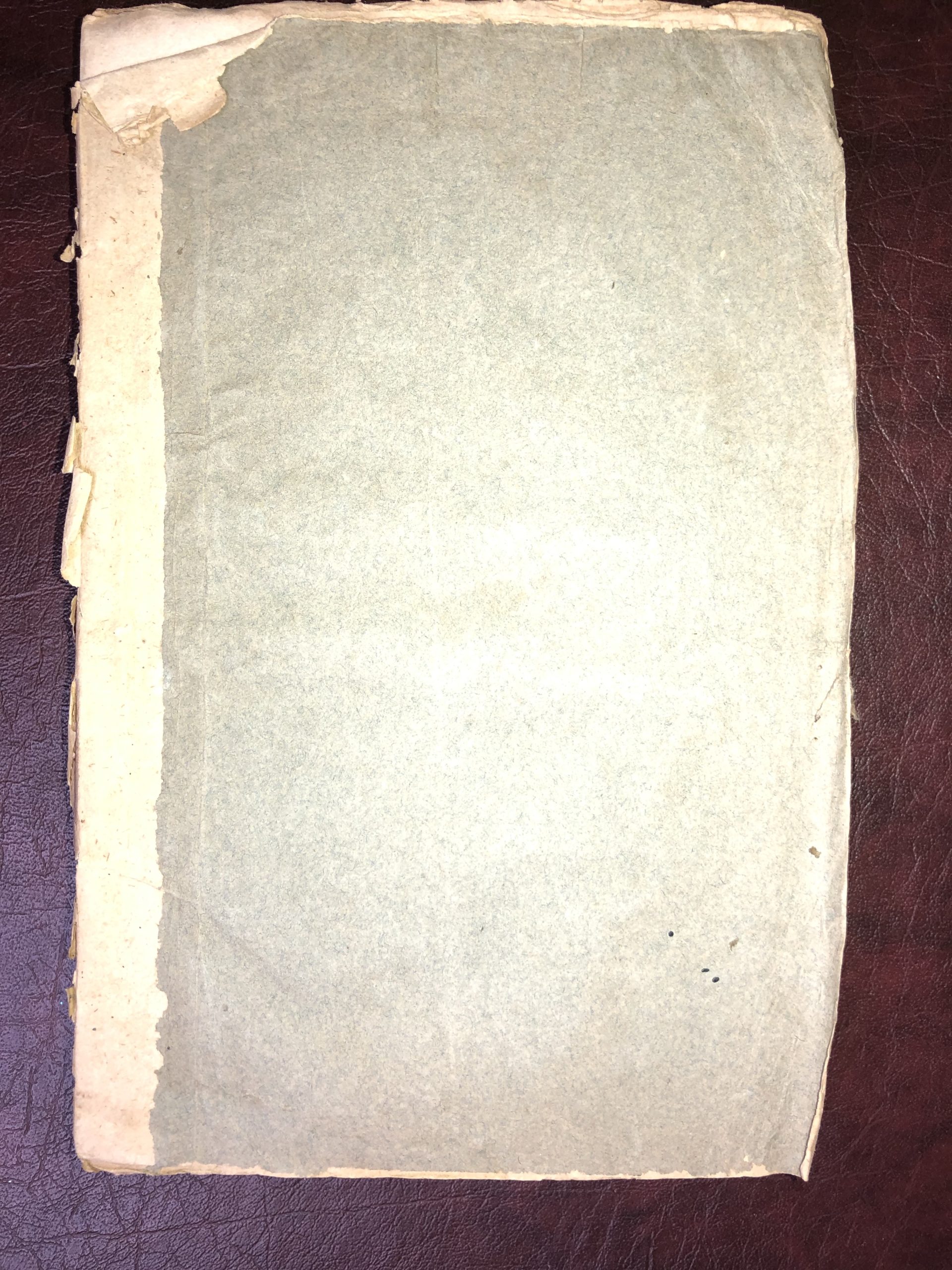 The Insurrection Act of 1807 Statutes and Stories